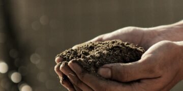 Compost