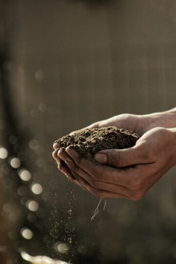 Compost