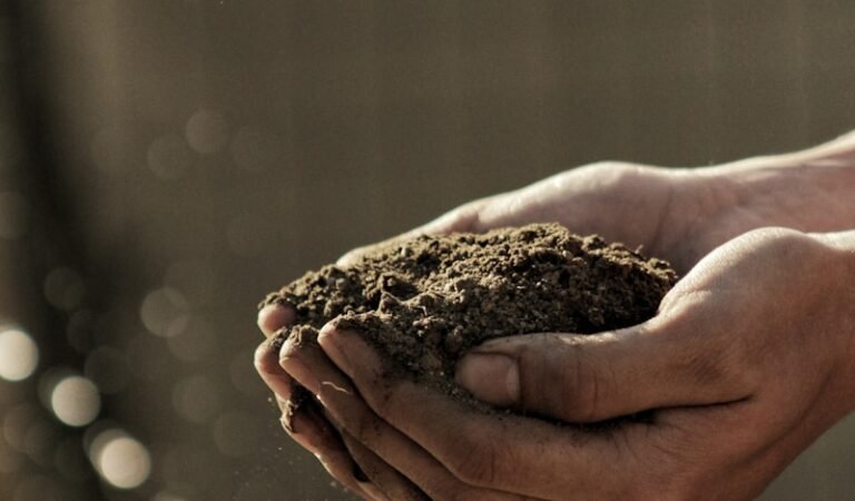 How to Compost in a Small Apartment (Without the Funk)